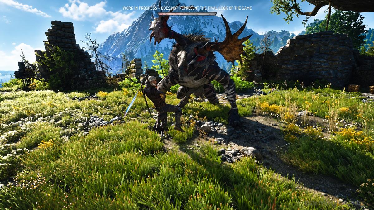 The witcher 3 sample image