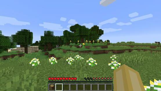 Minecraft 12