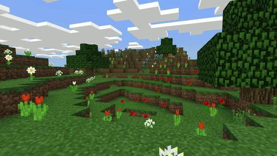 Minecraft 5