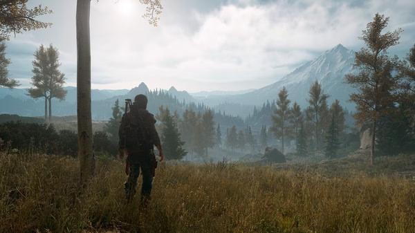 Days Gone 6