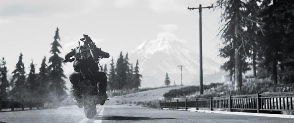 Days Gone 8