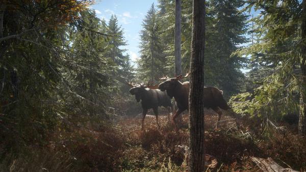 The Hunter Call of the Wild 1