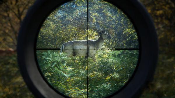 The Hunter Call of the Wild 3