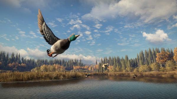 The Hunter Call of the Wild 4