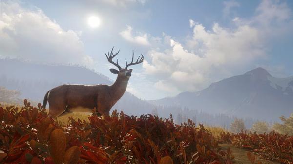 The Hunter Call of the Wild 9