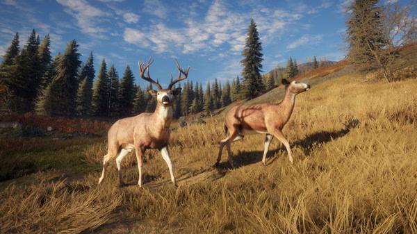 The Hunter Call of the Wild 10