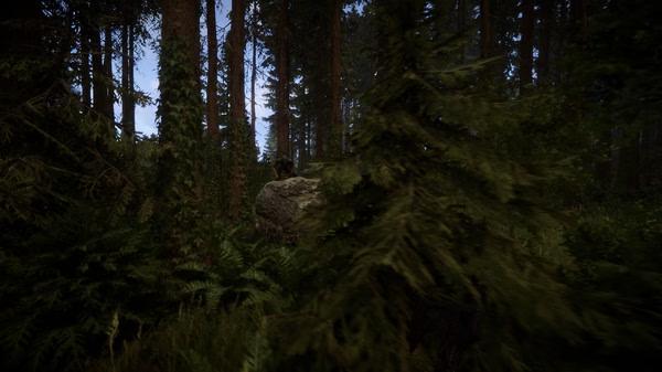 Sons Of The Forest 4