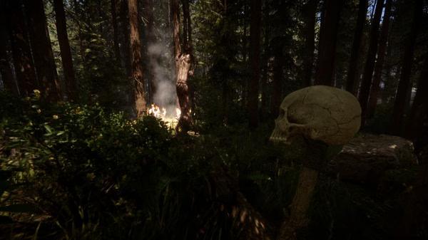 Sons Of The Forest 9