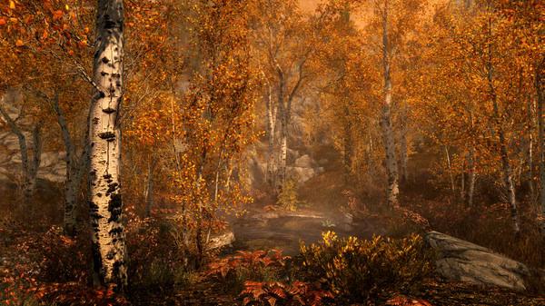 The Elder Scrolls V: Skyrim 3