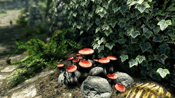 The Elder Scrolls V: Skyrim 6