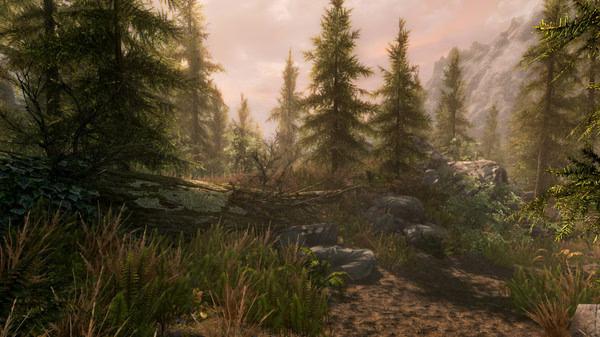 The Elder Scrolls V: Skyrim 7