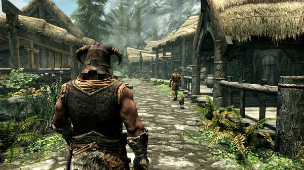 The Elder Scrolls V: Skyrim 8