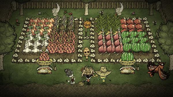 Screenshot of Don't Starve Together showing a well-tended farm with vegetables, scarecrow, and characters in a garden setting.