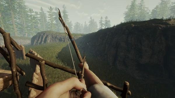 The Forest 5