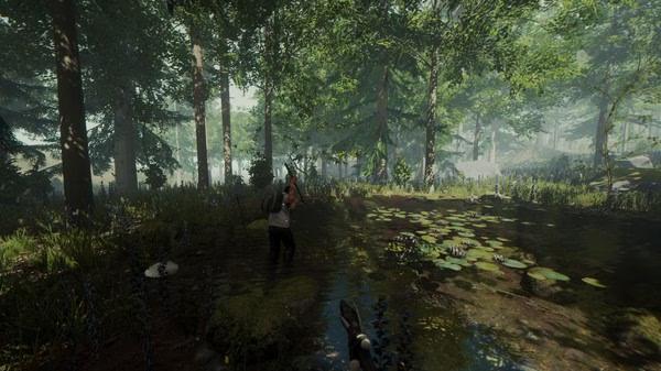 The Forest 6