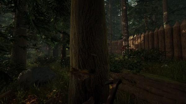 The Forest 7