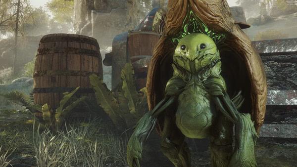 Soulframe screenshot featuring a detailed green creature resembling a turtle amidst barrels and foliage in a forest setting.