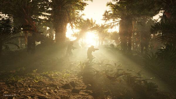 HELLDIVERS 2 screenshot: Players in combat gear navigate a dense, sunlit jungle, weapons drawn, amidst towering trees and foliage.