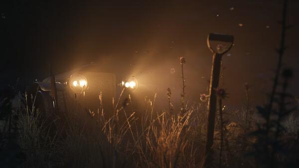 Screenshot from Mafia: The Old Country showing a vintage car with headlights on, surrounded by tall grass and wildflowers at night.