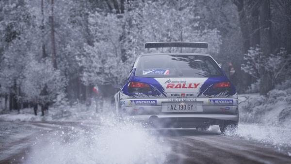 Assetto Corsa Rally 6