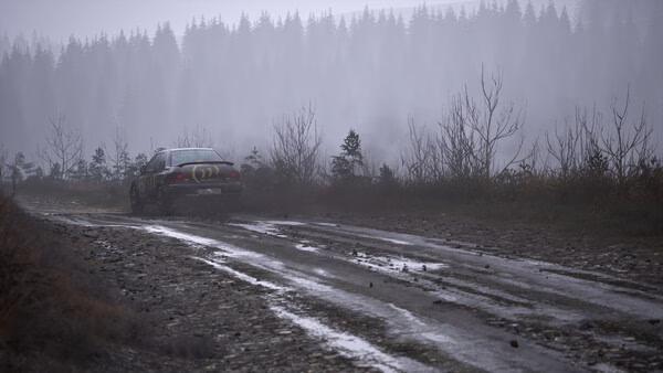 Assetto Corsa Rally 7