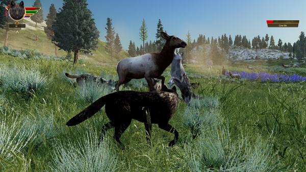 Screenshot from WolfQuest: Anniversary Edition showing wolves hunting an elk in a grassy field with trees in the background.