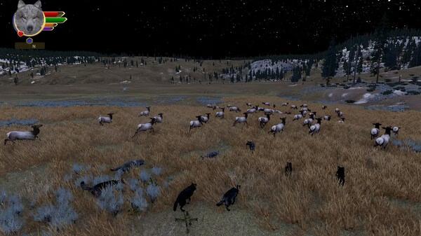 A WolfQuest: Anniversary Edition screenshot showing wolves approaching a herd of elk in a grassy field under a starry night sky.