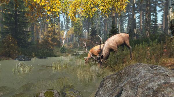 DayZ screenshot: Two deer graze by a tranquil forest stream, surrounded by autumn foliage and rocky terrain.