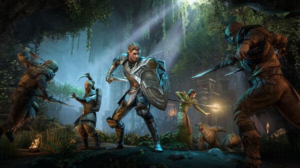 A screenshot from The Elder Scrolls Online showing characters in combat, including a warrior with a shield and a mage casting a spell.