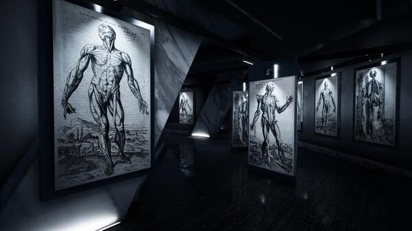 Trepang2 screenshot: A dark gallery with six illuminated anatomical drawings on display, showcasing human figures.