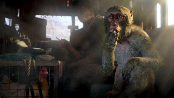 A Far Cry 4 screenshot showing a monkey sitting indoors near a cage, with a person and a chicken in the background.