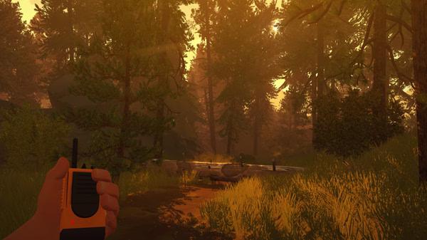 Firewatch screenshot showing a hand holding a walkie-talkie in a serene, sunlit forest with tall trees and grassy terrain.