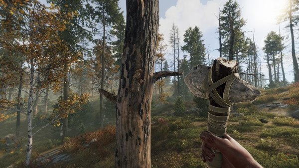 RUST screenshot: A player holds a stone hatchet, facing a tree in a sunlit forest, ready to gather resources.