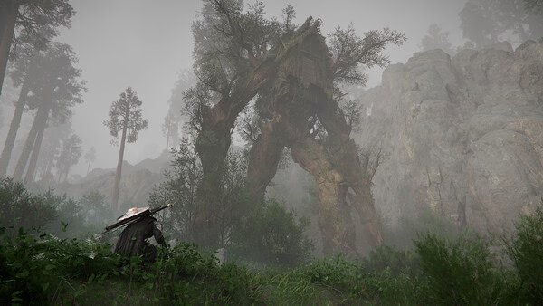 Crimson Desert screenshot: A warrior faces a towering, tree-like creature amidst a misty, dense forest with rocky cliffs in the background.