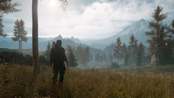 Days Gone screenshot: A lone biker stands in a lush, mountainous landscape with trees and distant peaks under a cloudy sky.