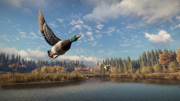 Screenshot from The Hunter Call of the Wild showing ducks flying over a tranquil lake surrounded by trees and a clear blue sky.