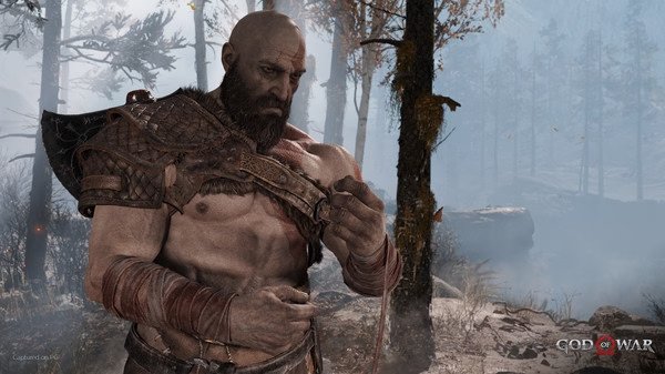 Screenshot from God of War showing a muscular character in armor standing in a misty forest with trees and rocks.