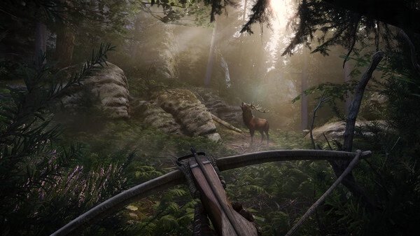 Screenshot from Kingdom Come: Deliverance 2 showing a lush forest with a bow aimed at a deer standing among trees.