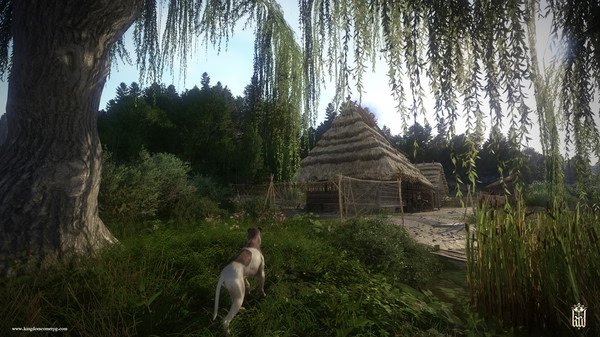 A dog stands near a willow tree, gazing at a thatched hut in a lush landscape. Kingdom Come: Deliverance screenshot.